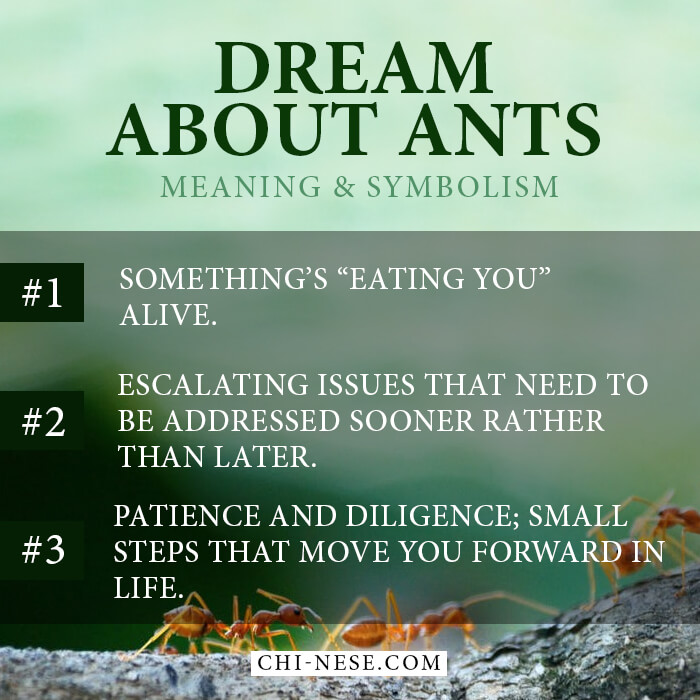 dream about ants