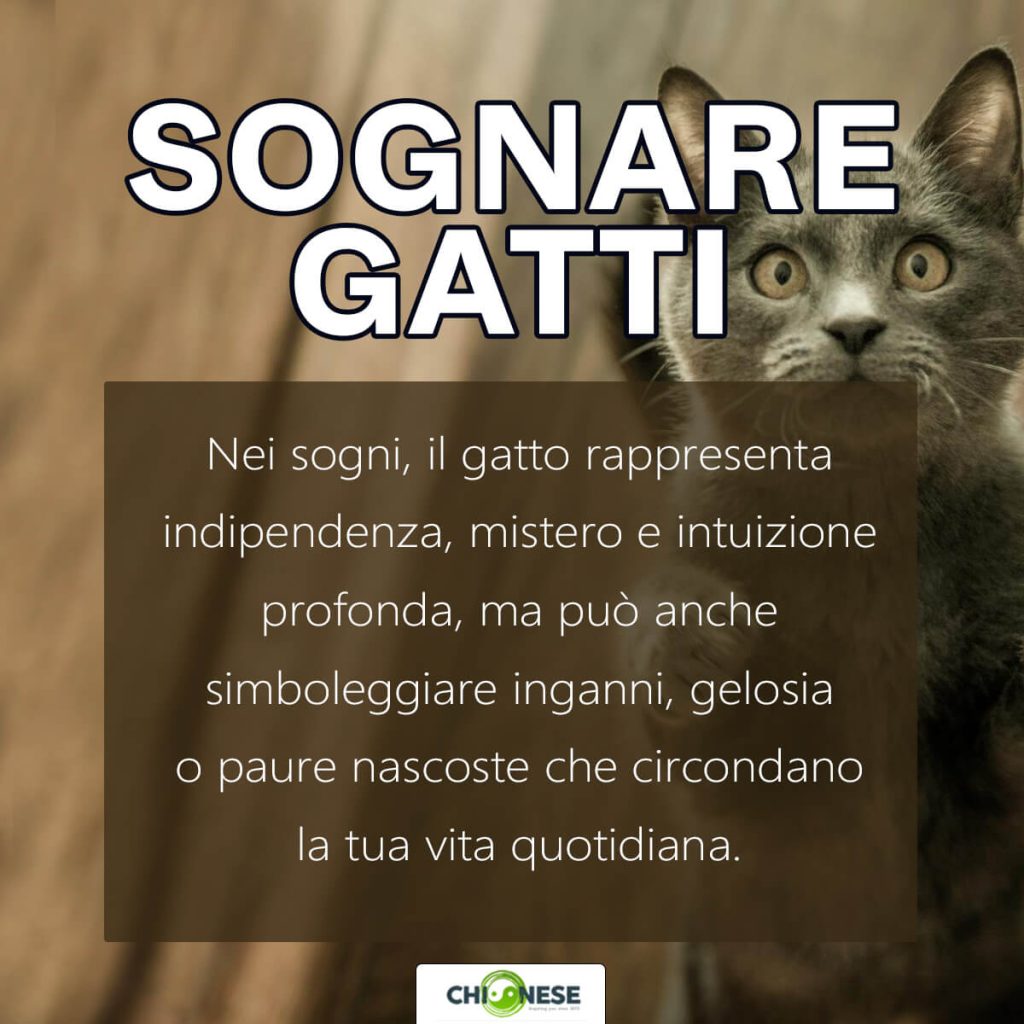 sognare gatti