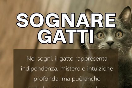 sognare gatti