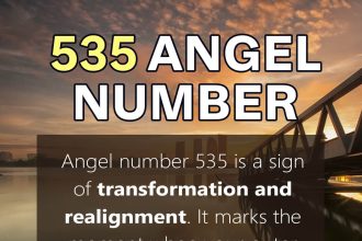 535 angel number