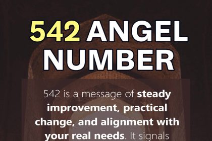 542 angel number