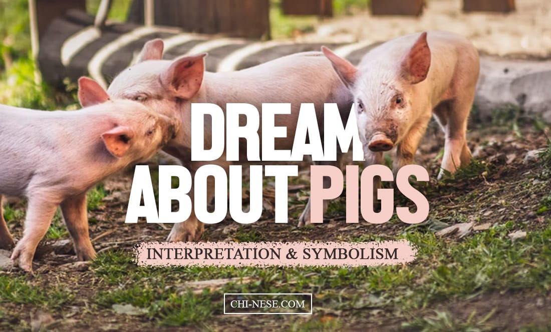 dream about pigs meaning