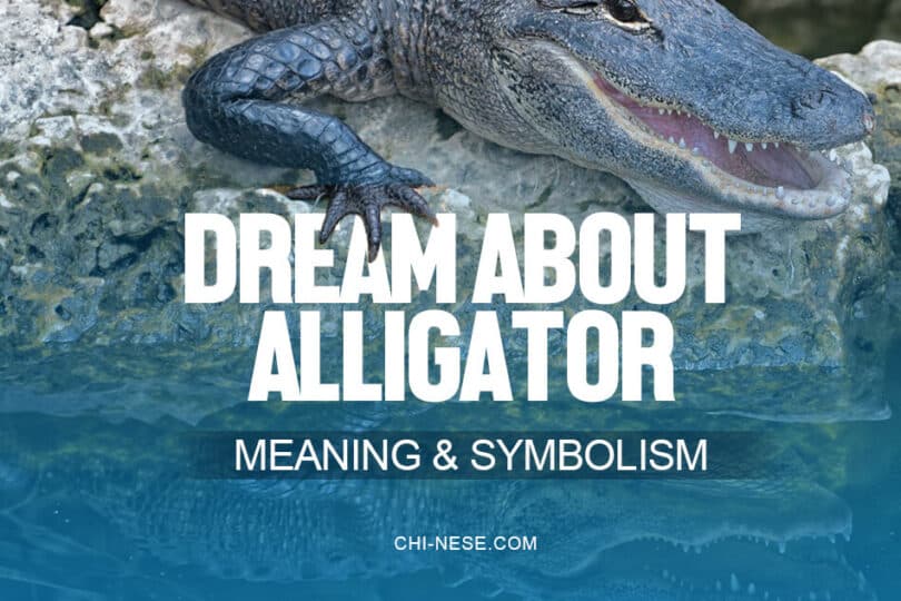 Dream About Alligators Meaning & Symbolism (Alligator Attack, Chasing