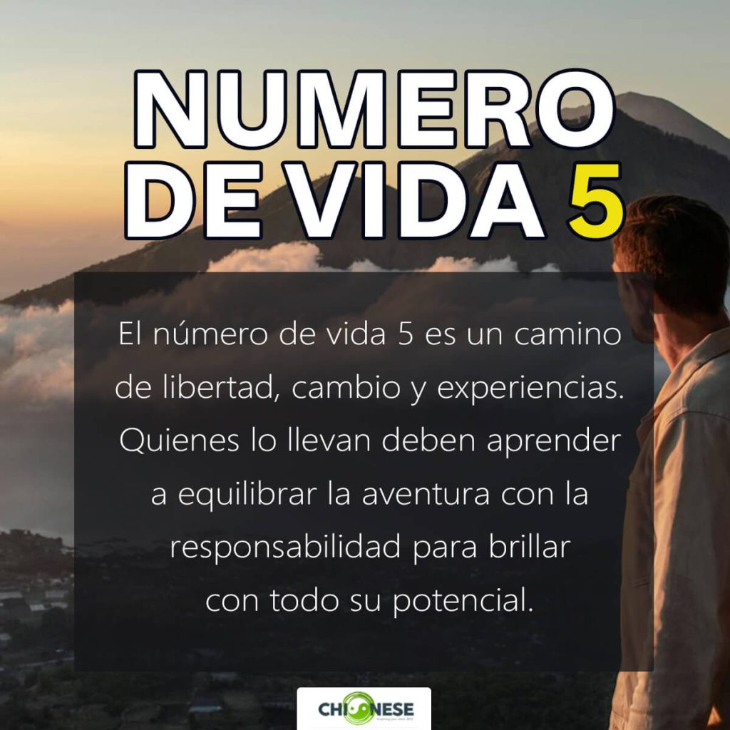 numero de vida 5