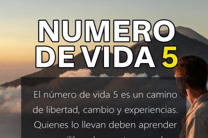numero de vida 5