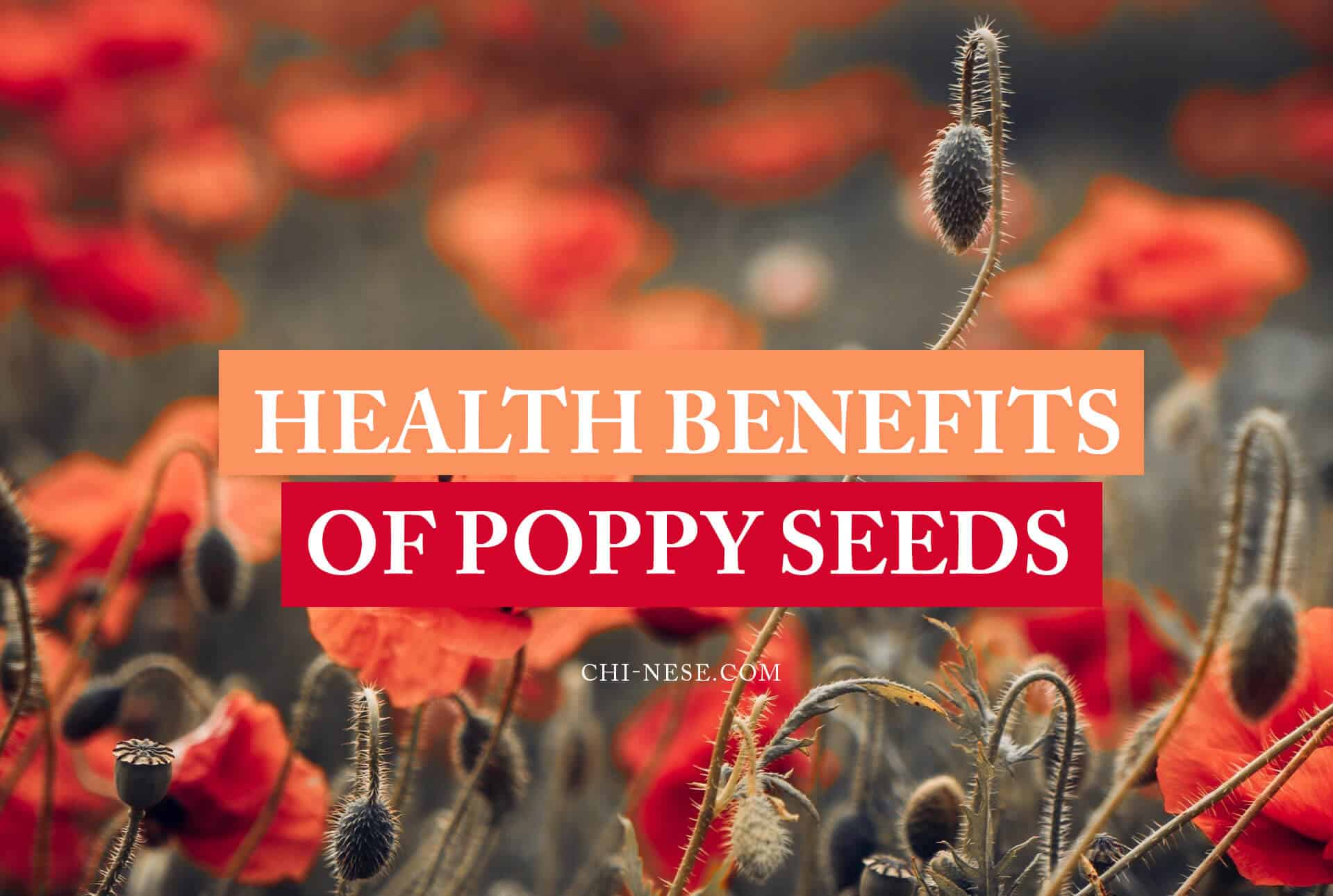 health benefits of poppy seeds