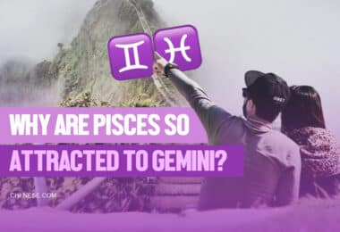 why are pisces so attracted to gemini