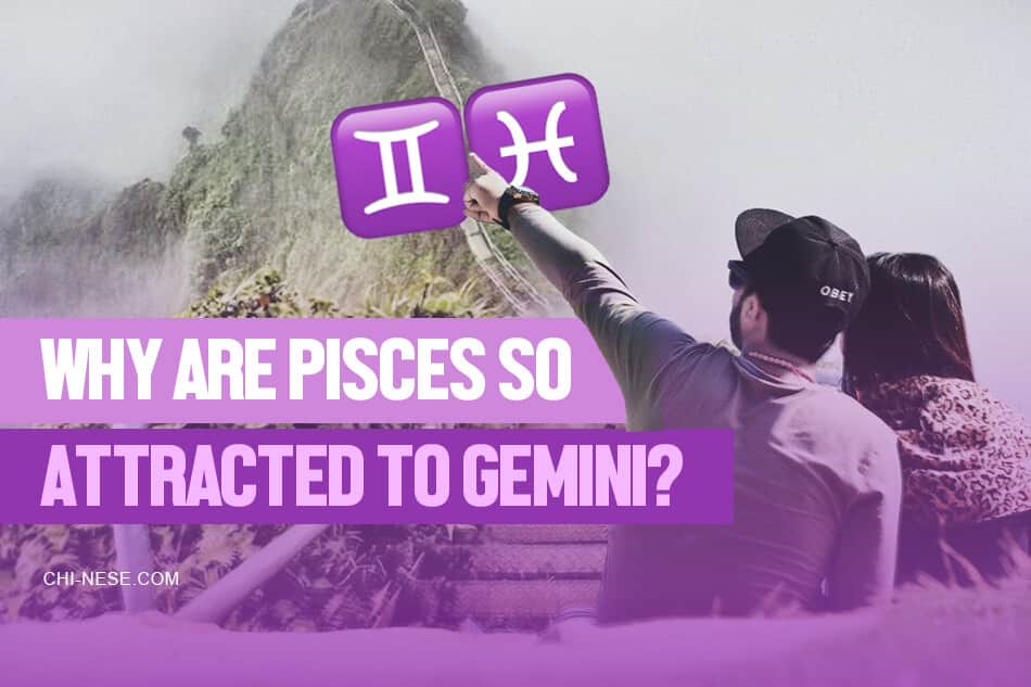 why are pisces so attracted to gemini