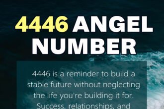 4446 angel number