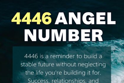 4446 angel number