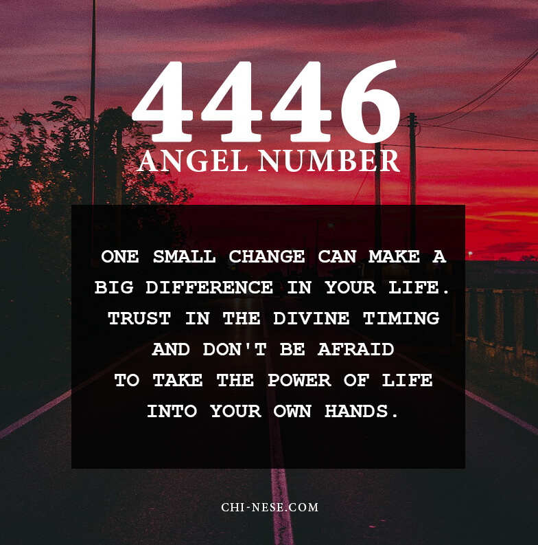 4446 angel number