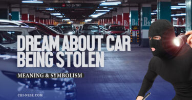 dream about car being stolen