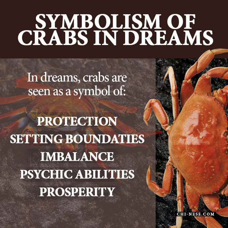 crabs in dreams symbolism meaning