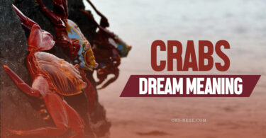 dream about crabs