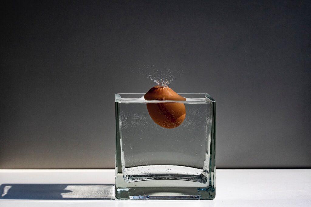 egg floats in water
