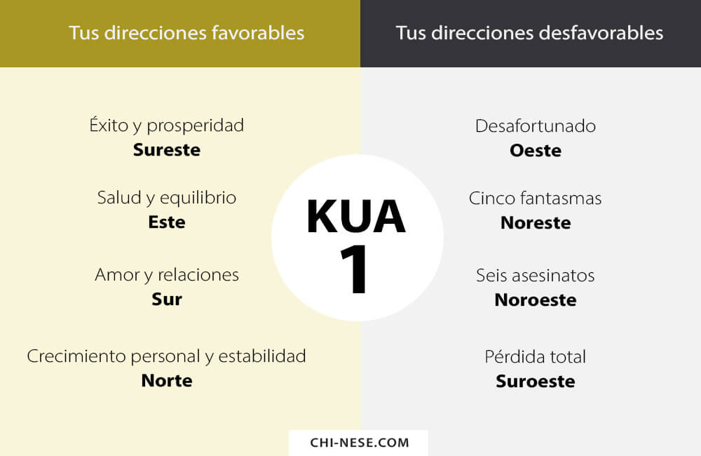 kua 1 direcciones