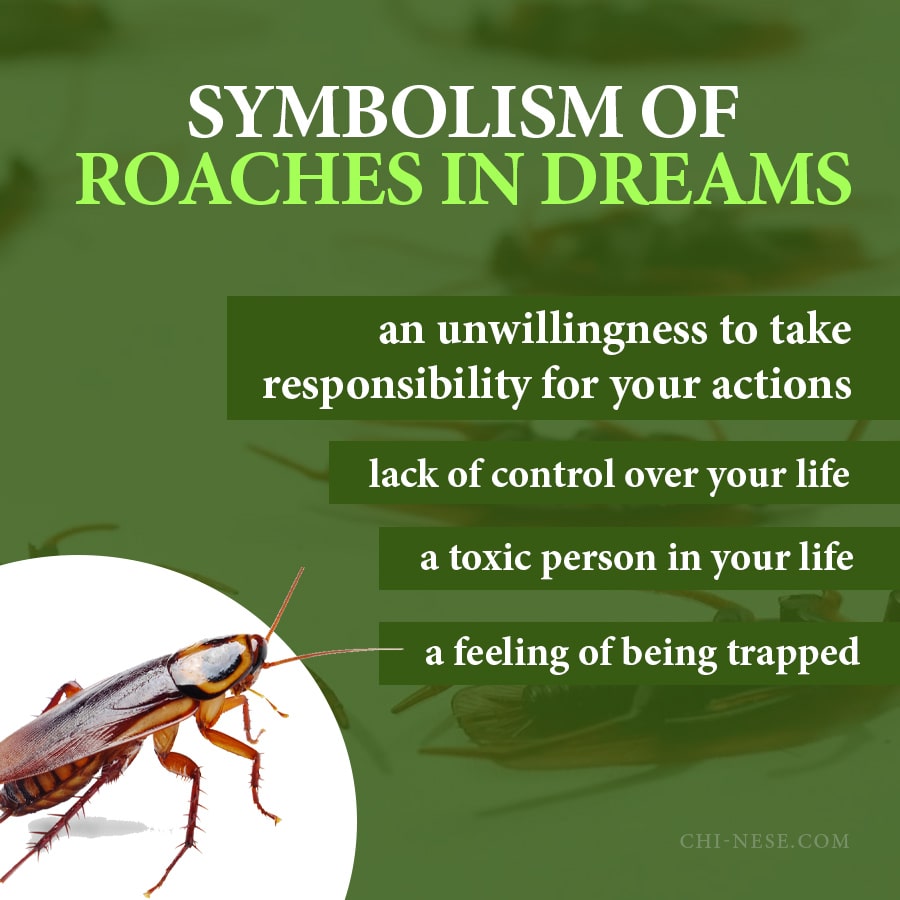 symbolism of roaches in dreams