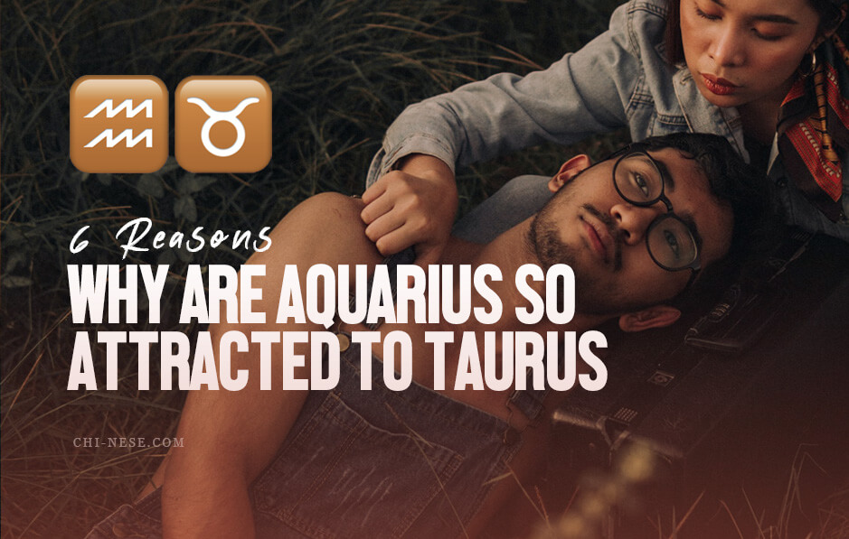 why are aquarius so attracted to taurus