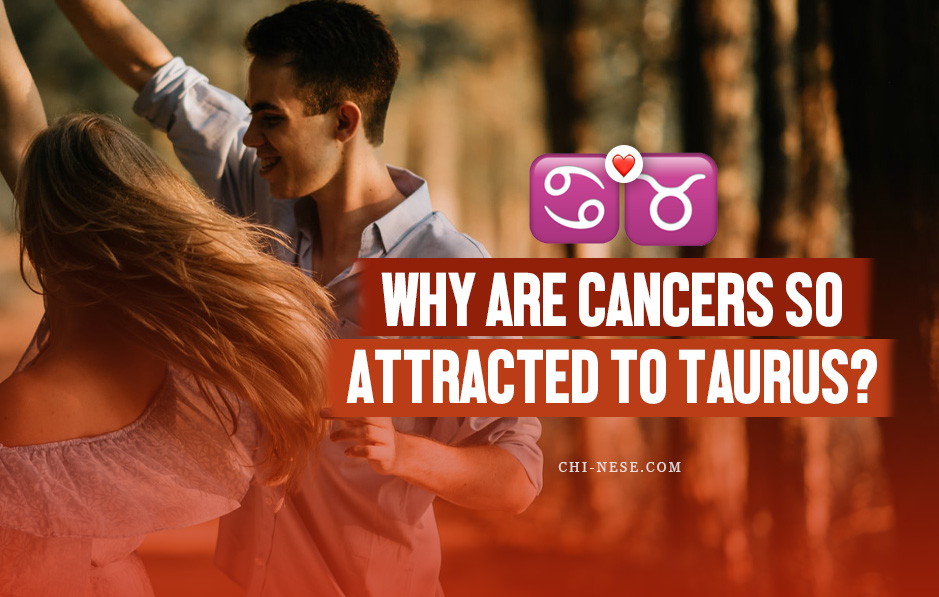 why are cancers so attracted to taurus