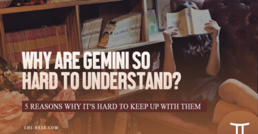 why are gemini so hard to understand
