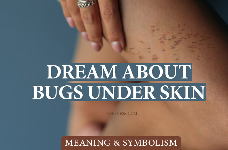 dream about bugs under skin