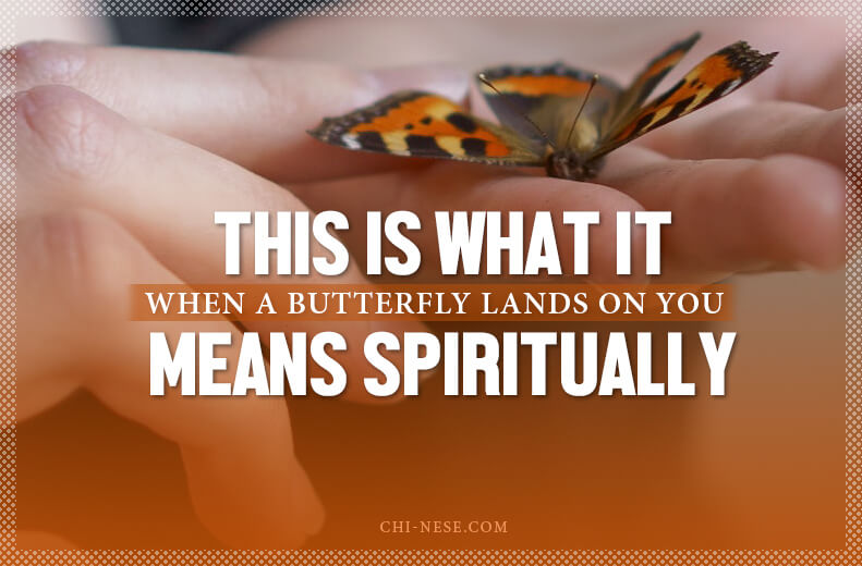 what does it mean when a butterfly lands on you