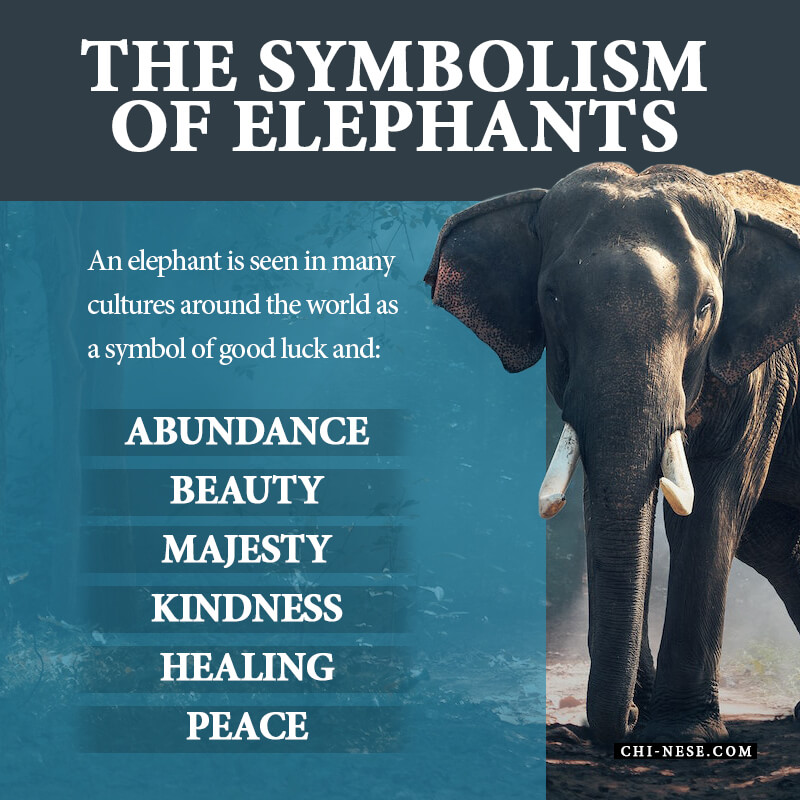 symbolism of elephants