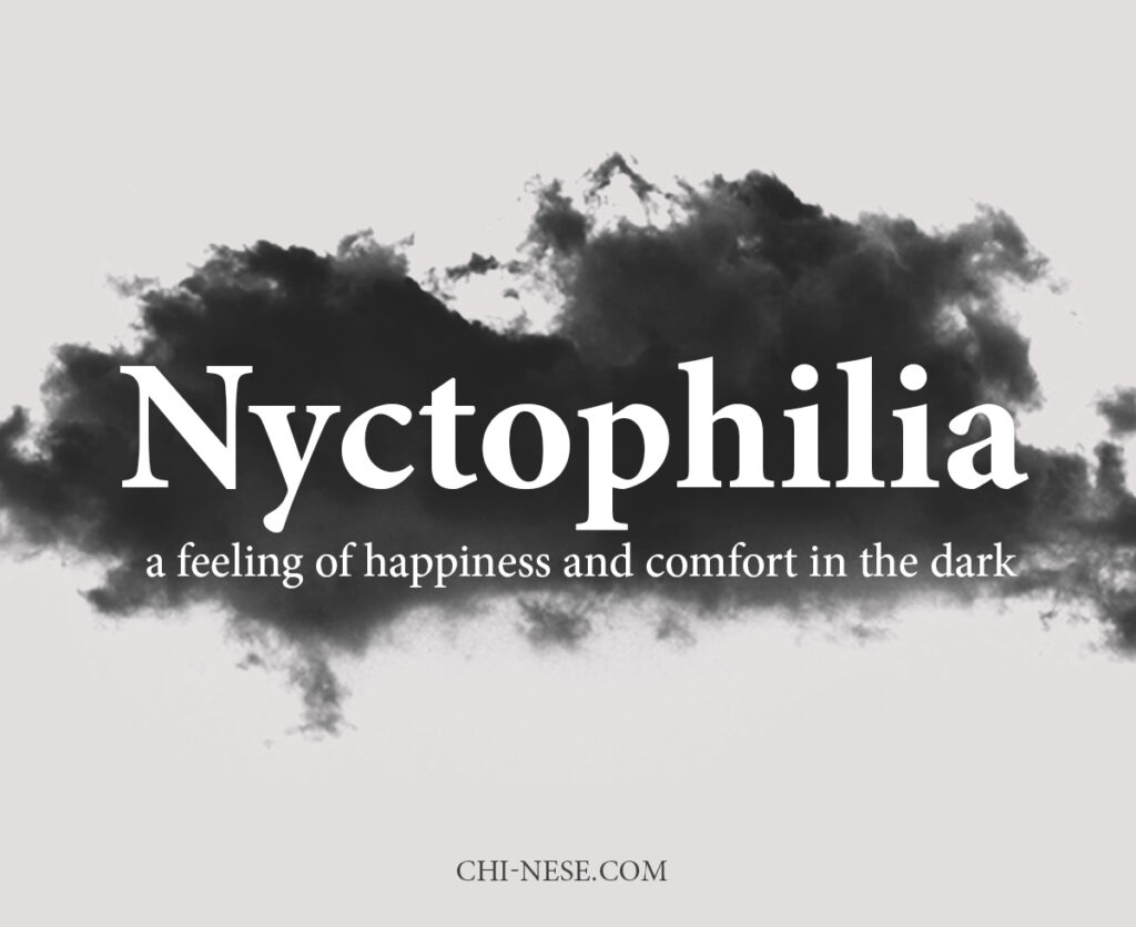 Nyctophilia meaning