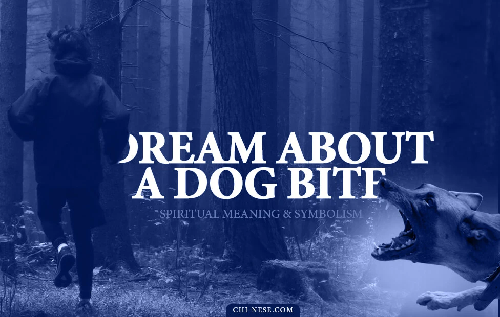 dream about dog bite