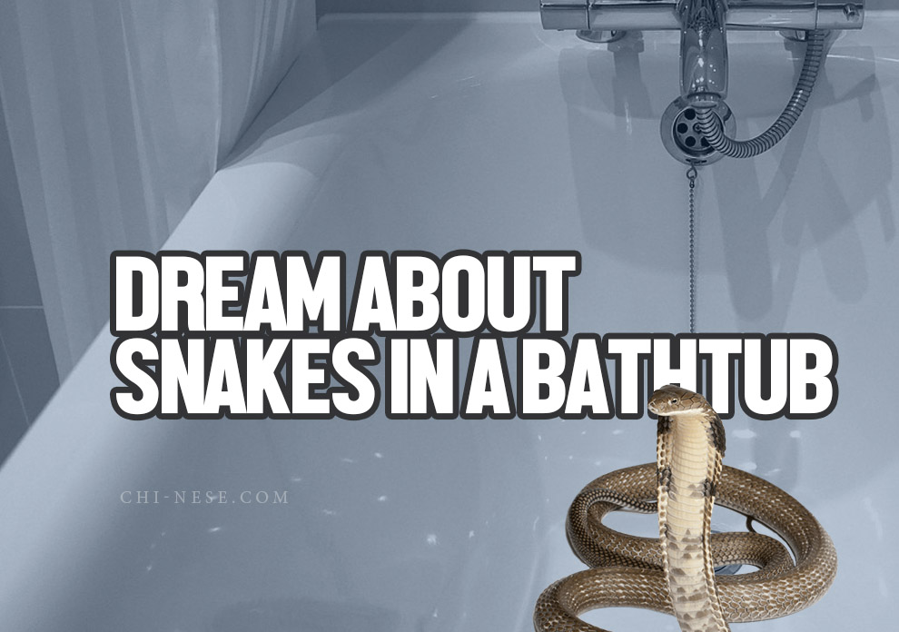 dream about snakes in a bathtub