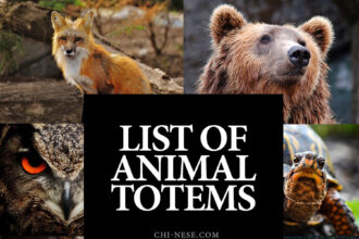 list of animal totems and their meanings