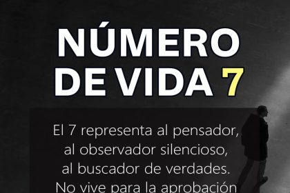 numero de vida 7