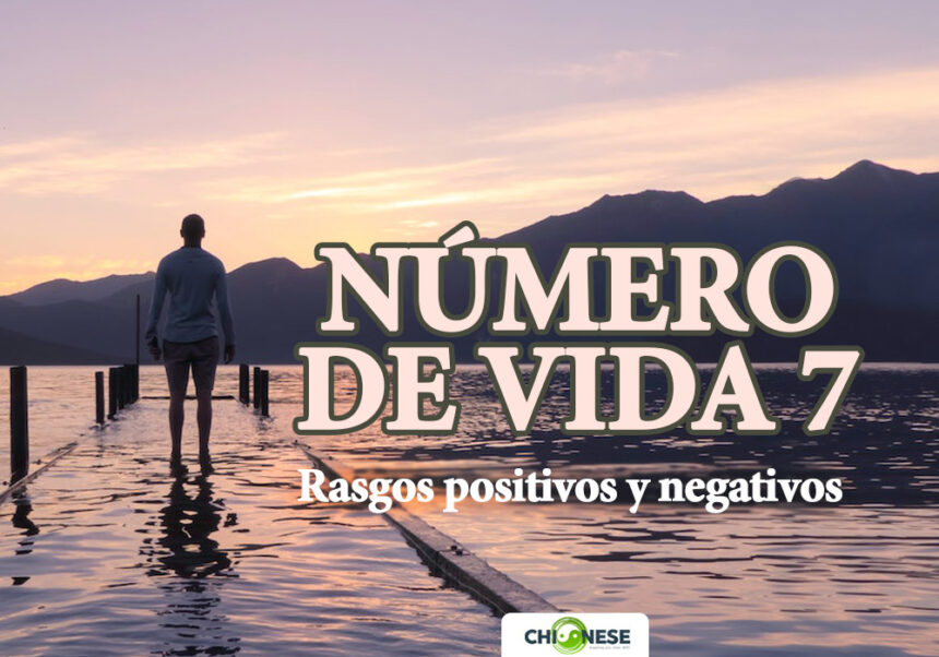 número de vida 7