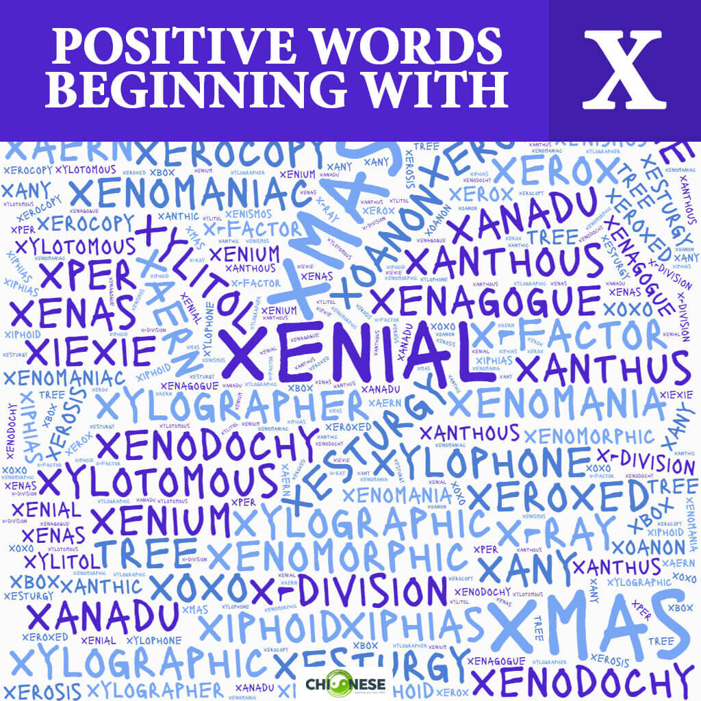 positive words beginning with x