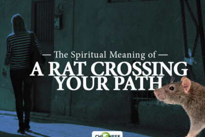 spiritual meaning of a rat crossing your path