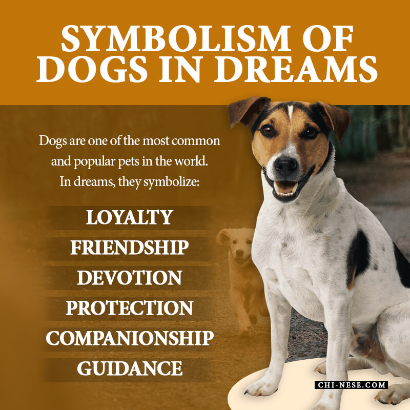 symbolism of dogs in dreams