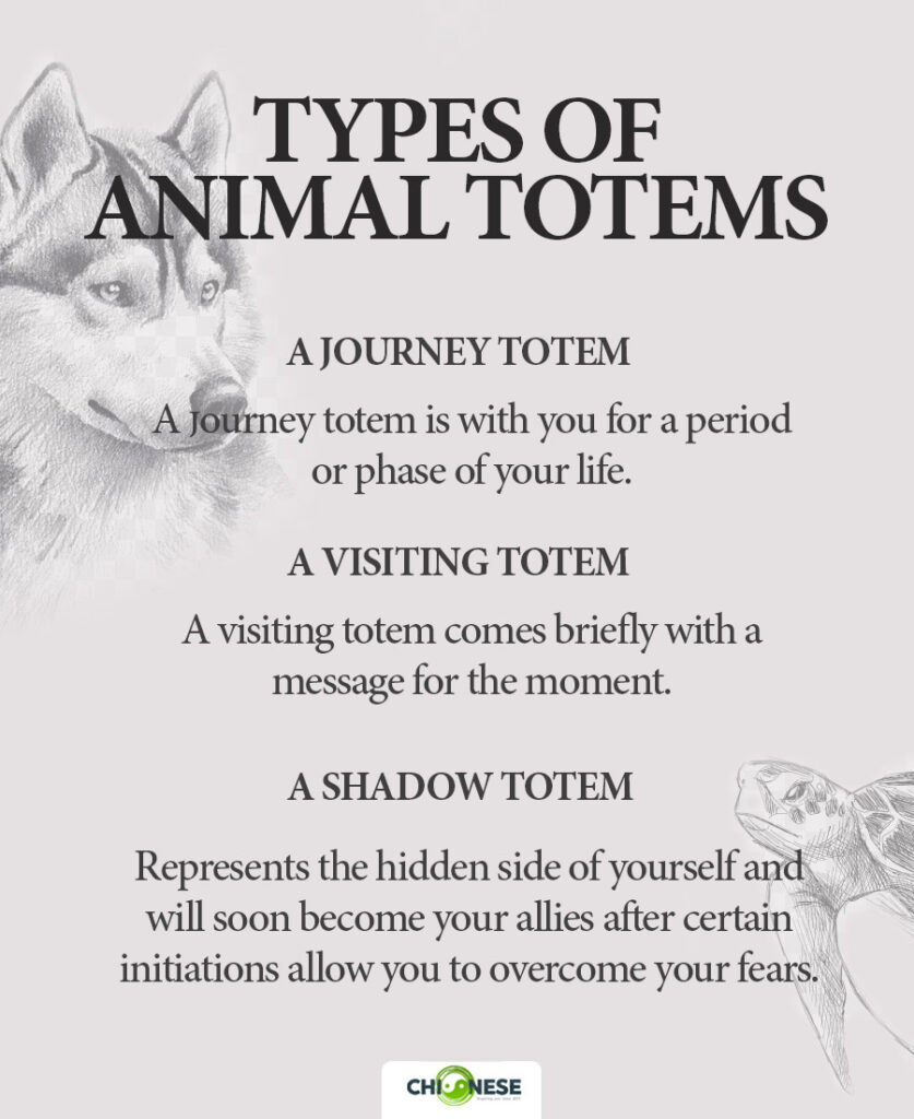 types of animal totems