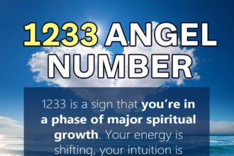 1233 angel number