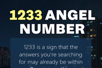1233 angel number
