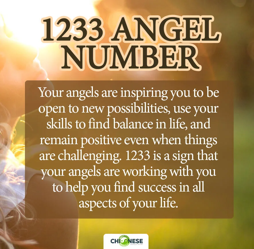 1233 angel number