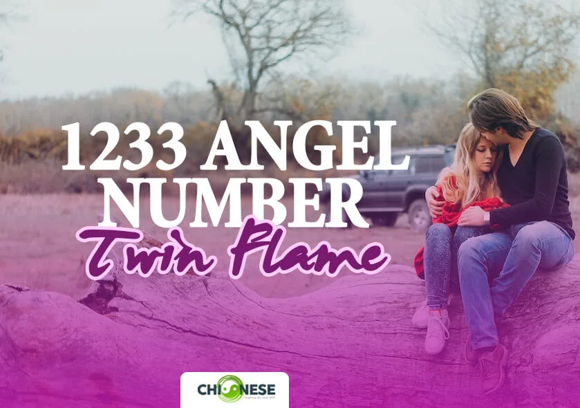 1233 angel number twin flame
