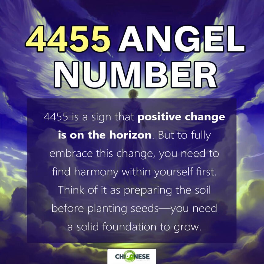Number 4458 Angel Number 4455 Spiritual Meaning (Twin Flame, Love, Money)