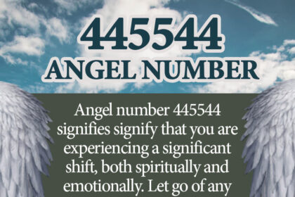445544 angel number