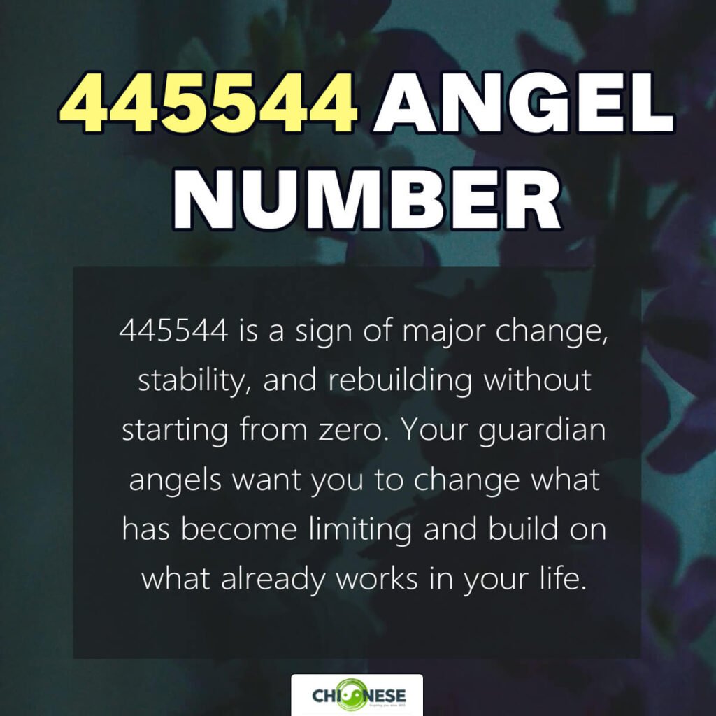 445544 angel number