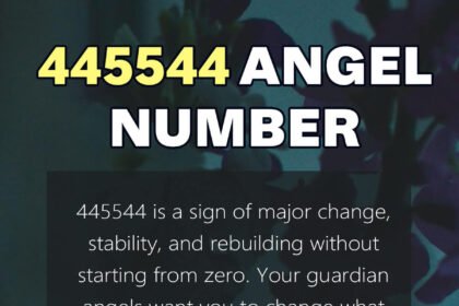 445544 angel number