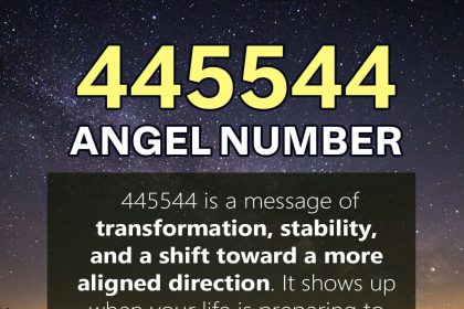 445544 meaning