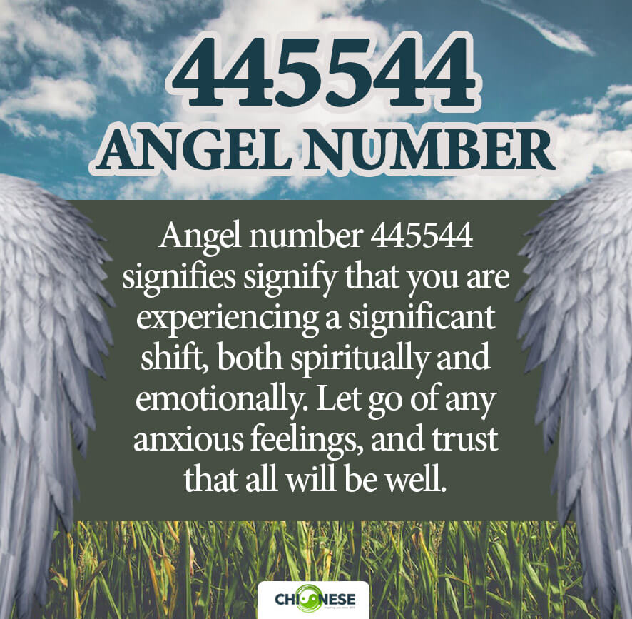 445544 angel number