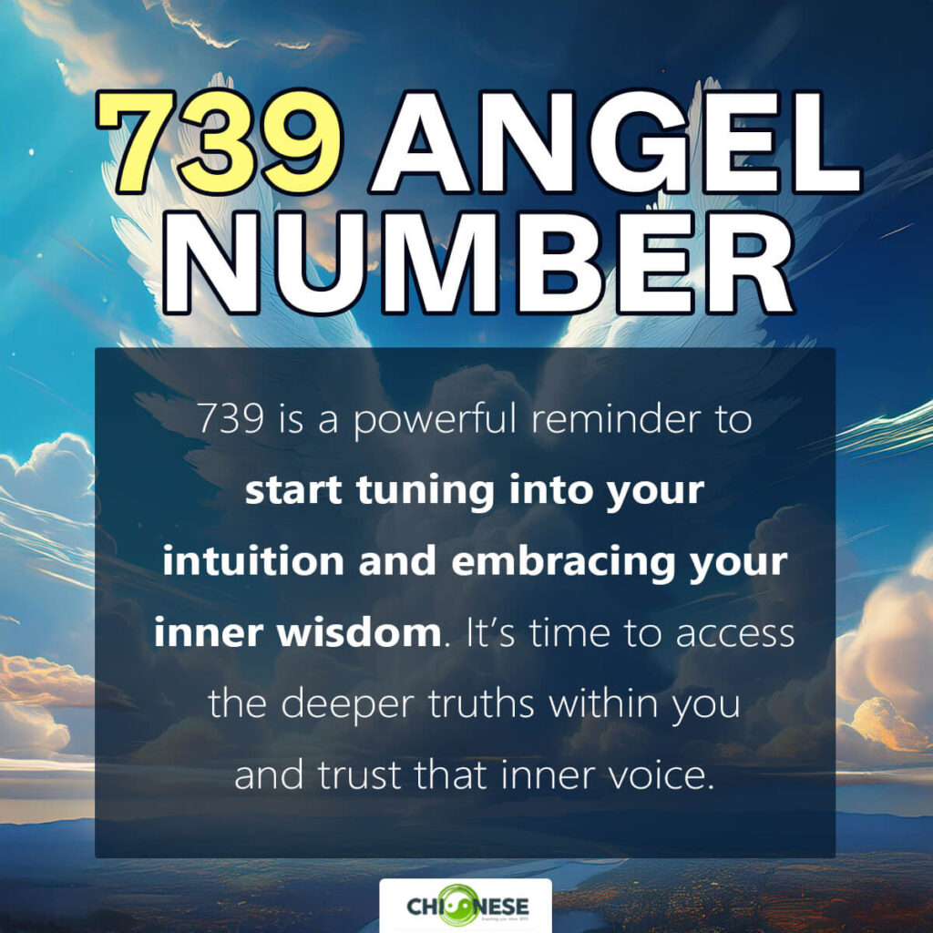 739 angel number