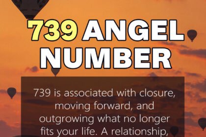 739 angel number