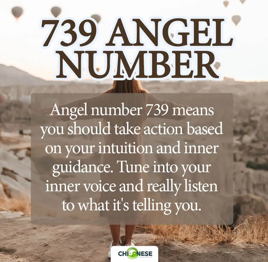 739 angel number